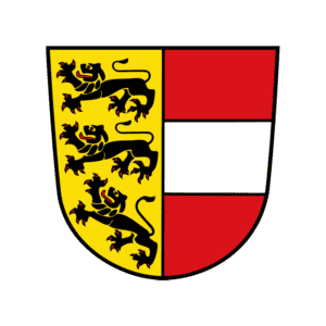 verkehrspsychologische untersuchung Kärnten
