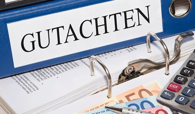 vpu gutachten